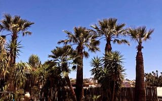 4 Bedroom House To Rent in Eros