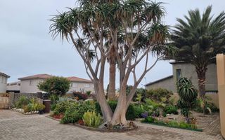 4 Bedroom House To Rent in Hage Heights