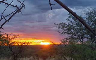 Farm For Sale in Gobabis