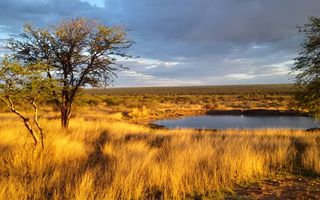 Farm For Sale in Gobabis