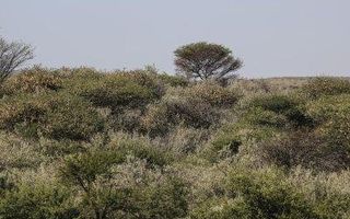 Vacant Land For Sale in Herboth's Blick, Windhoek