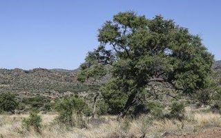 Vacant Land For Sale in Herboth's Blick, Windhoek