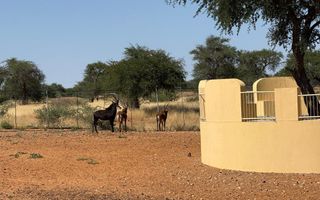 Office / Retail / Mixed Use For Sale in Rehoboth