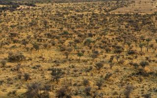Small Holding / Plot For Sale in Okahandja