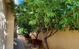 3 Bedroom House For Sale in Omeya Golf Estate