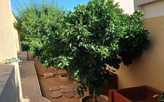 3 Bedroom House For Sale in Omeya Golf Estate