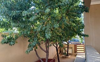 3 Bedroom House For Sale in Omeya Golf Estate