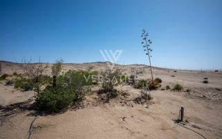 4 Bedroom Small Holding / Plot For Sale in River Plots