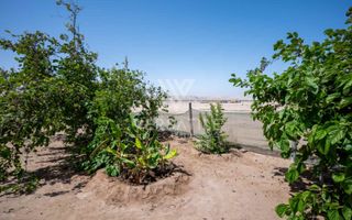 4 Bedroom Small Holding / Plot For Sale in River Plots