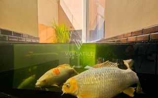 3 Bedroom House For Sale in Long Beach