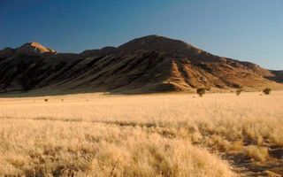 Farm For Sale in Solitaire