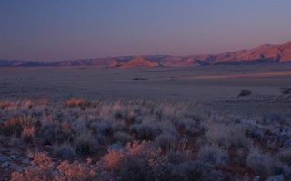 Farm For Sale in Solitaire