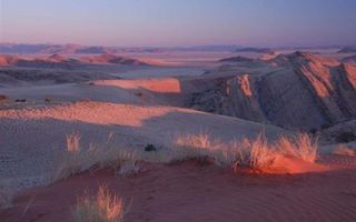 Farm For Sale in Solitaire