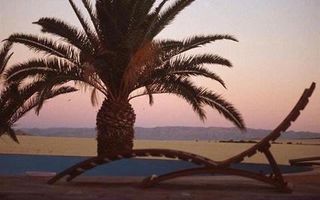 Farm For Sale in Solitaire