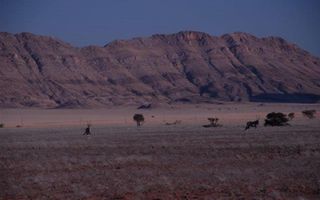 Farm For Sale in Solitaire