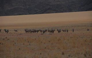 Farm For Sale in Solitaire