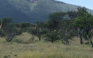 Farm For Sale in Omaruru