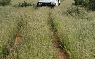 Farm For Sale in Omaruru