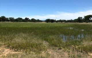 Farm For Sale in Omaruru