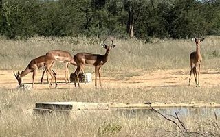 Farm For Sale in Omaruru