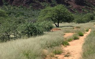 Farm For Sale in Omaruru