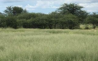 Farm For Sale in Omaruru