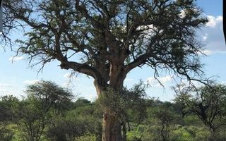 Farm For Sale in Omaruru