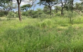 Farm For Sale in Omaruru
