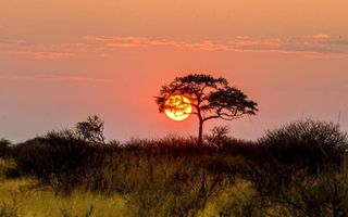 Farm For Sale in Dordabis