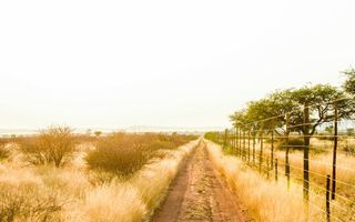 Farm For Sale in Dordabis