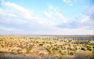 Farm For Sale in Dordabis