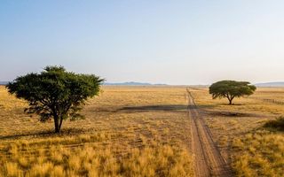 Farm For Sale in Dordabis