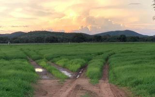 Farm For Sale in Dordabis