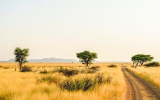 Farm For Sale in Dordabis