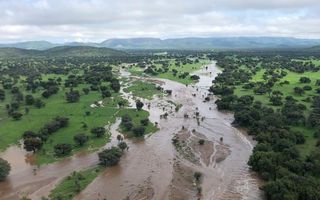 Farm For Sale in Dordabis