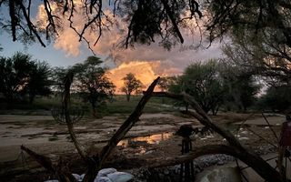 Farm For Sale in Omaruru