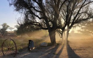 Farm For Sale in Omaruru