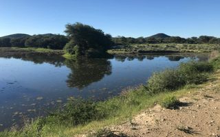 Farm For Sale in Omaruru