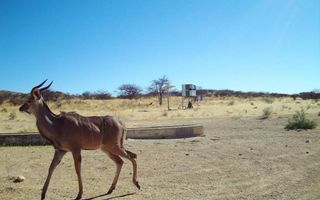 Farm For Sale in Omaruru