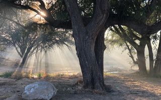 Farm For Sale in Omaruru