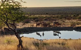 Farm For Sale in Gobabis