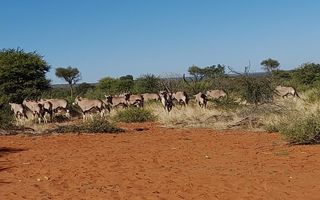 Farm For Sale in Gobabis