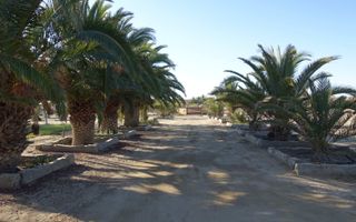 Small Holding / Plot For Sale in River Plots, Swakopmund
