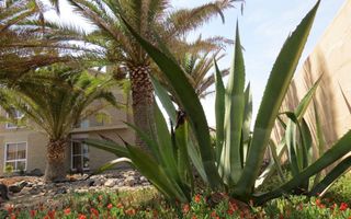 3 Bedroom House For Sale in Kramersdorf, Swakopmund