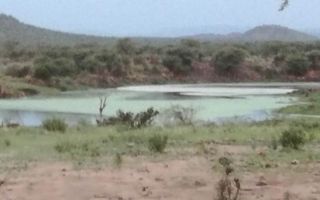 10 Bedroom Farm For Sale in Karibib