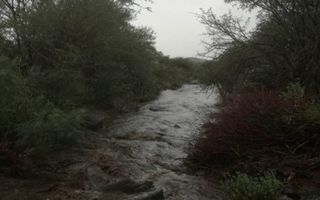 10 Bedroom Farm For Sale in Karibib