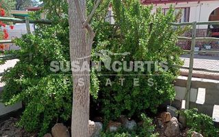 3 Bedroom House For Sale in Usakos