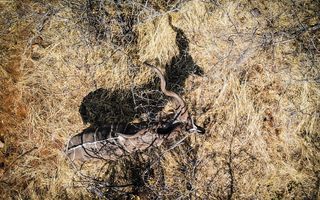 Farm For Sale in Outjo