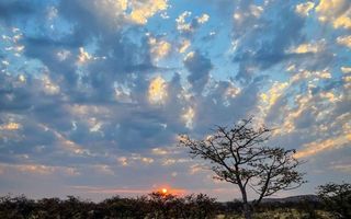 Farm For Sale in Outjo