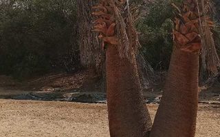 17 Bedroom House For Sale in Uis